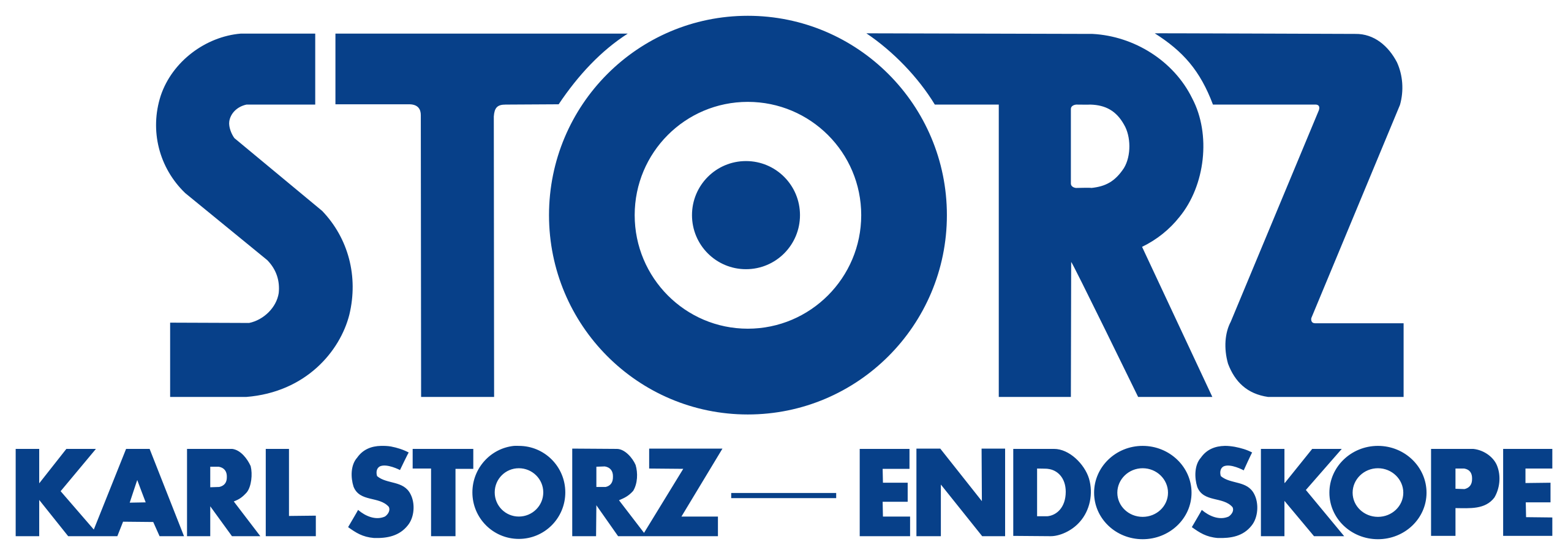 Karl Storz Logo