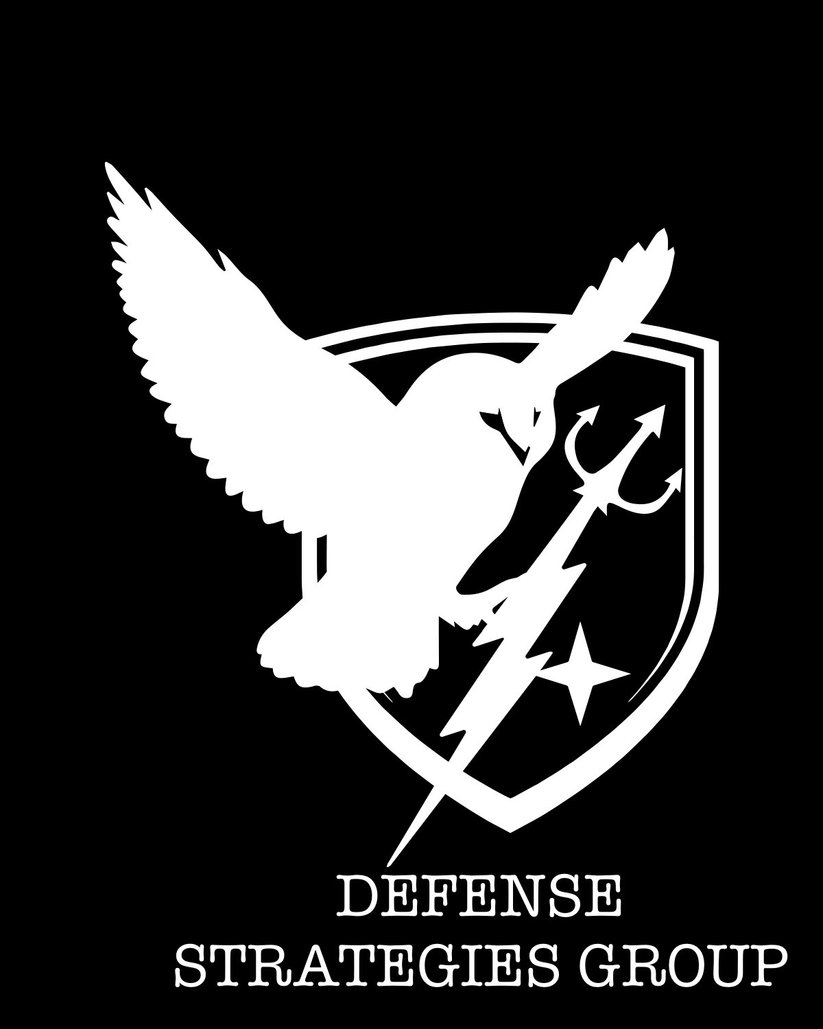 Defense Strategies Group Logo