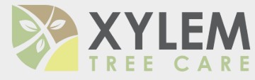 Xylem Tree Care Logo