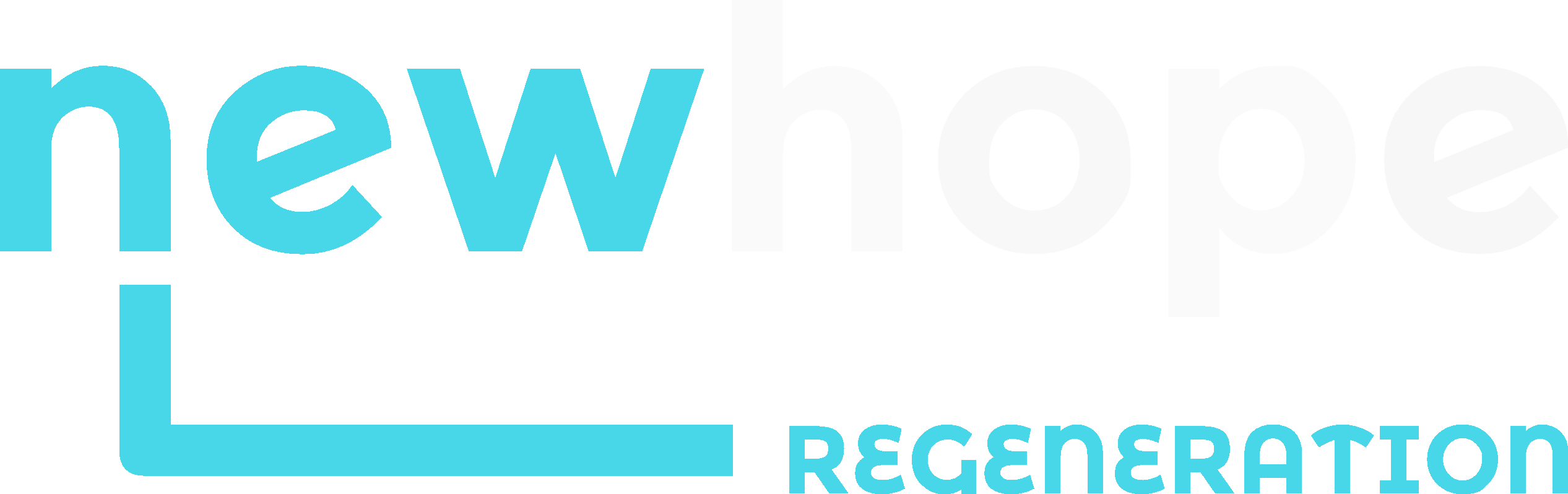 New HOpe Logo